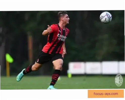 弗罗西诺内升班马，靠什么硬扛意甲强队？